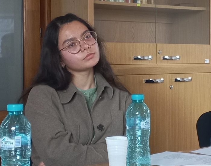 Tușele poetice ca șoc ideatic