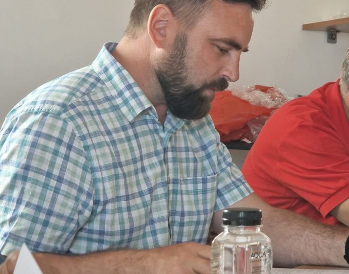 Intertextualitate poetică, ambiguitate, metaforism