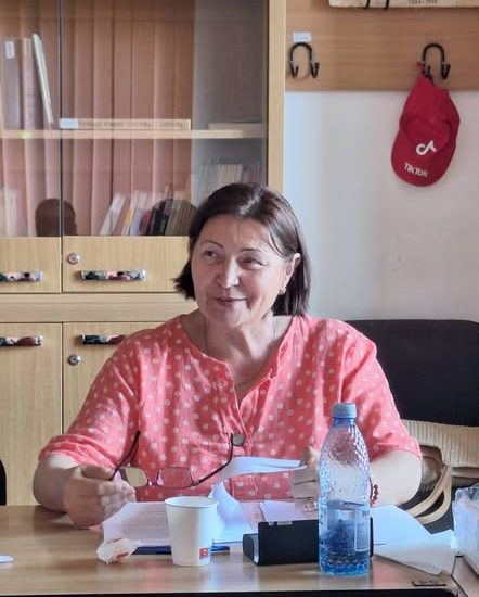 Biciul de cuvinte și idei în discursivitatea eseistică